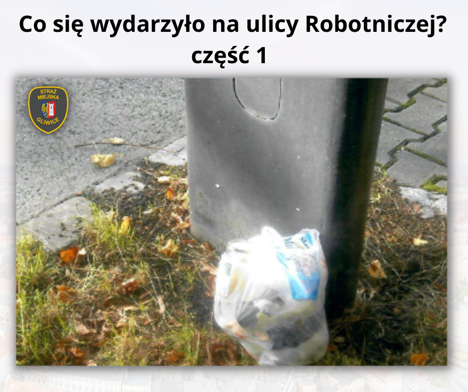 Napis: Co się wydarzyło na ulicy Raciborskiej? Część 1 Zdjęcie: worek śmieci na trawniku