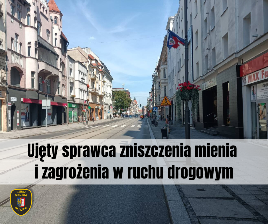 Ujęty sprawca zniszczenia mienia i zagrożenia w ruchu drogowym