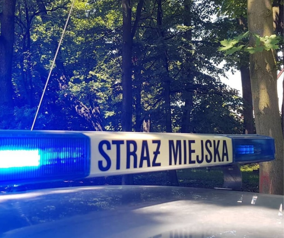 Brawurowa akcja Straży Miejskiej w Gliwicach – zatrzymanie pościgowe na ulicach miasta!