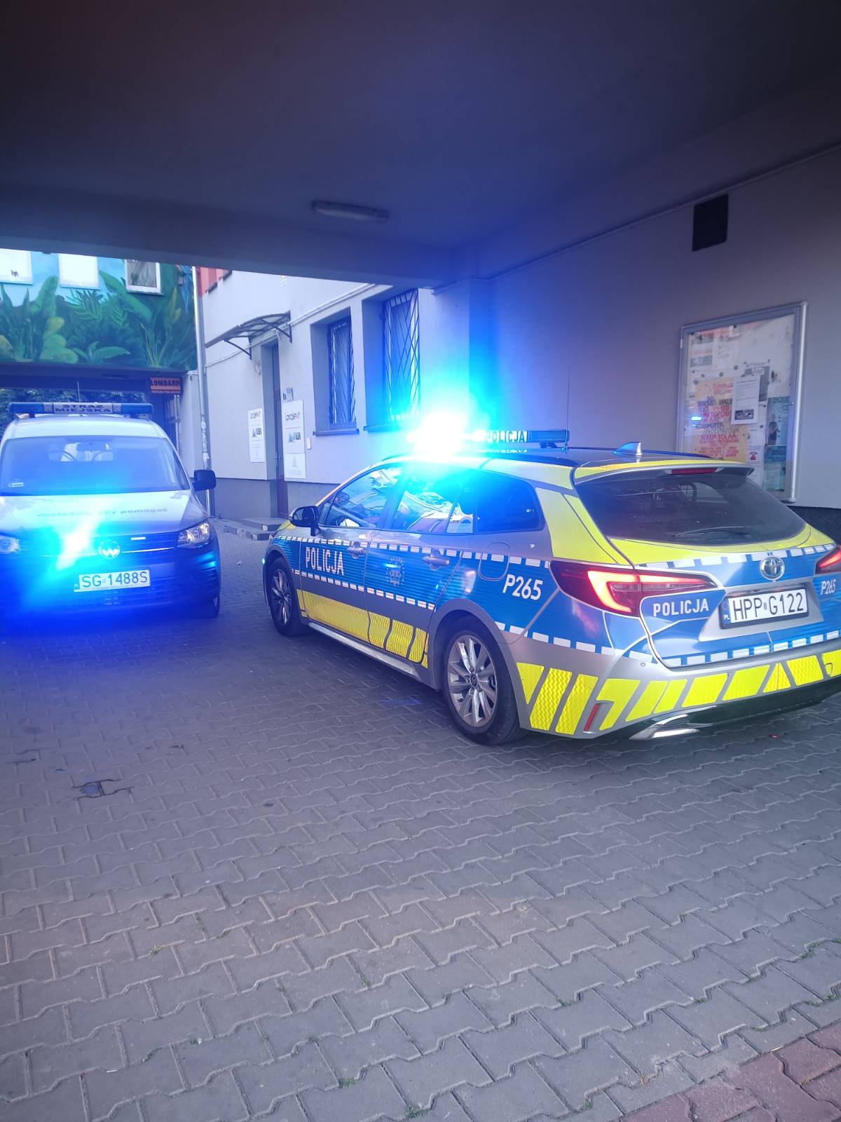 Na widok patrolu – sreberko w krzaki