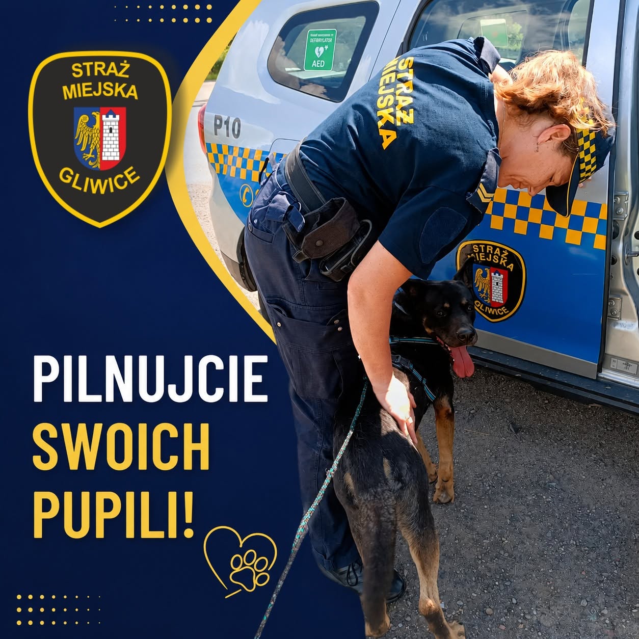 Uwaga, właścicielu – może szukasz swojego pupila?
